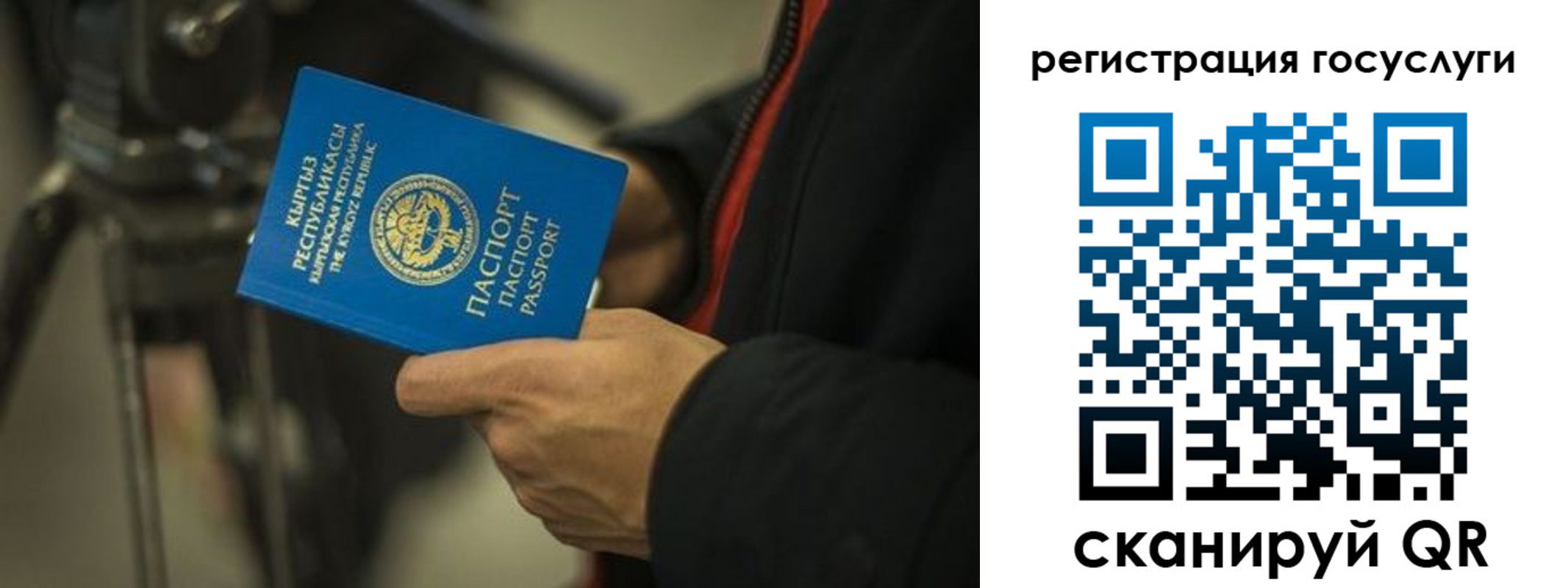 регистрация в Белгородской области